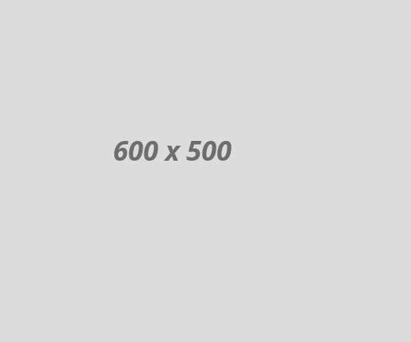 business01